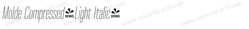 Molde Compressed-Light Italic字体转换